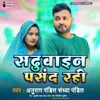 About Sadhuwain Pasand Rahi Song